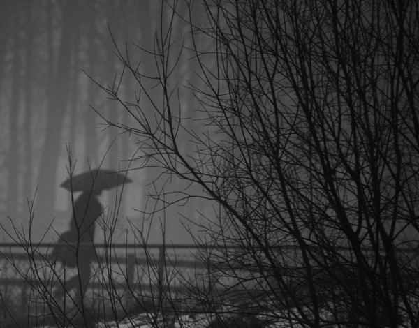 Photograph Andreas Kauppi Umbrella on One Eyeland